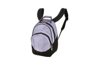 Driven Backpack